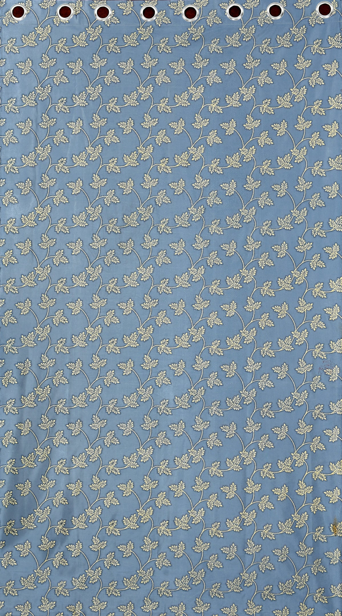 CANDY TRENDY BUTTI