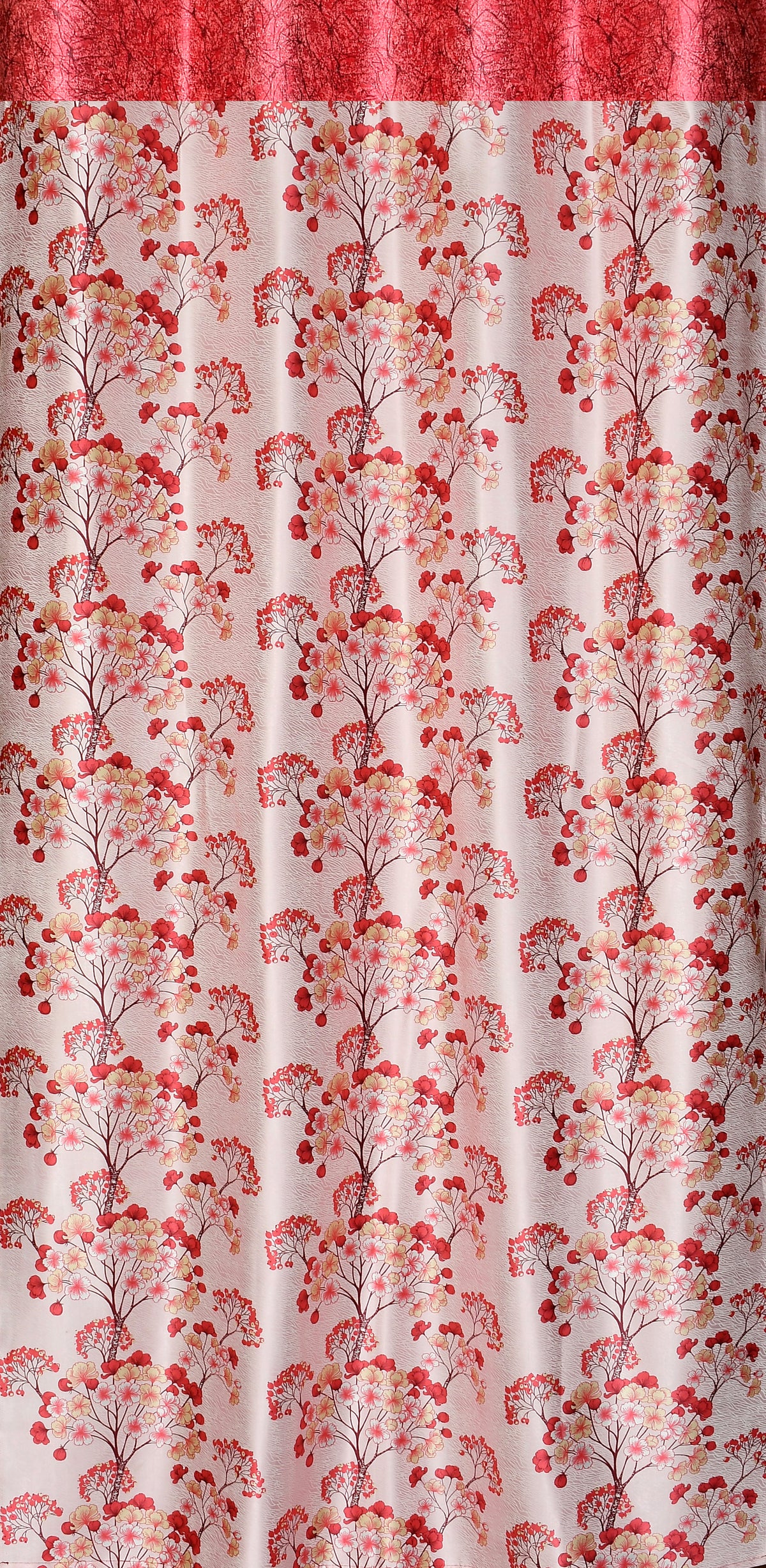 CAMRIN UMBRELLA PATTI COMBO